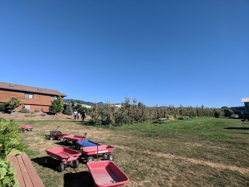Why This Orchard Earns the Detour Why This Orchard Earns the Detour