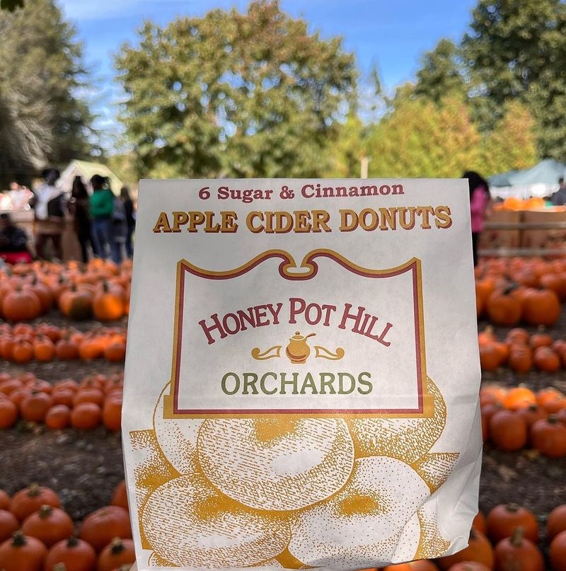 Why This Orchard Keeps Drawing Fans Why This Orchard Keeps Drawing Fans