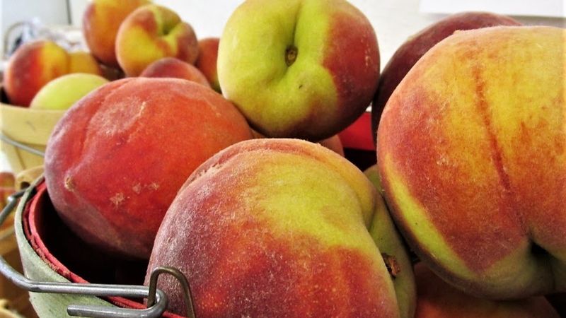 Why This Peach Stop Stays Memorable Why This Peach Stop Stays Memorable