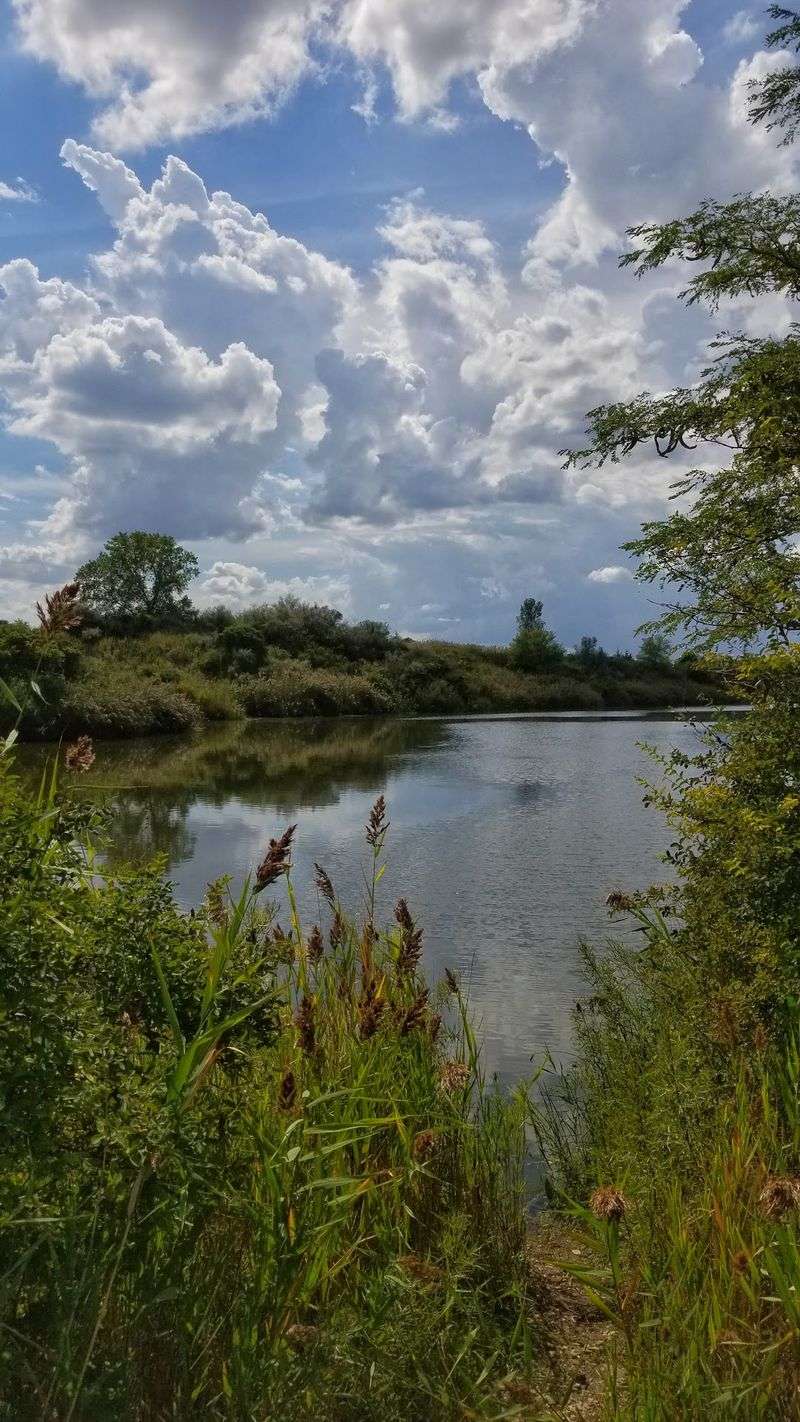 Why This Place Deserves More Attention Why This Place Deserves More Attention