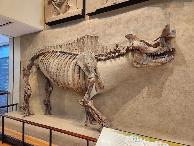 Why This Quiet Campus Museum Deserves Your Day