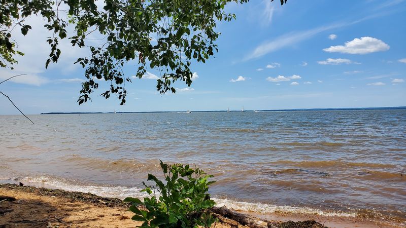 Why This Quiet Corner Is Worth the Trip