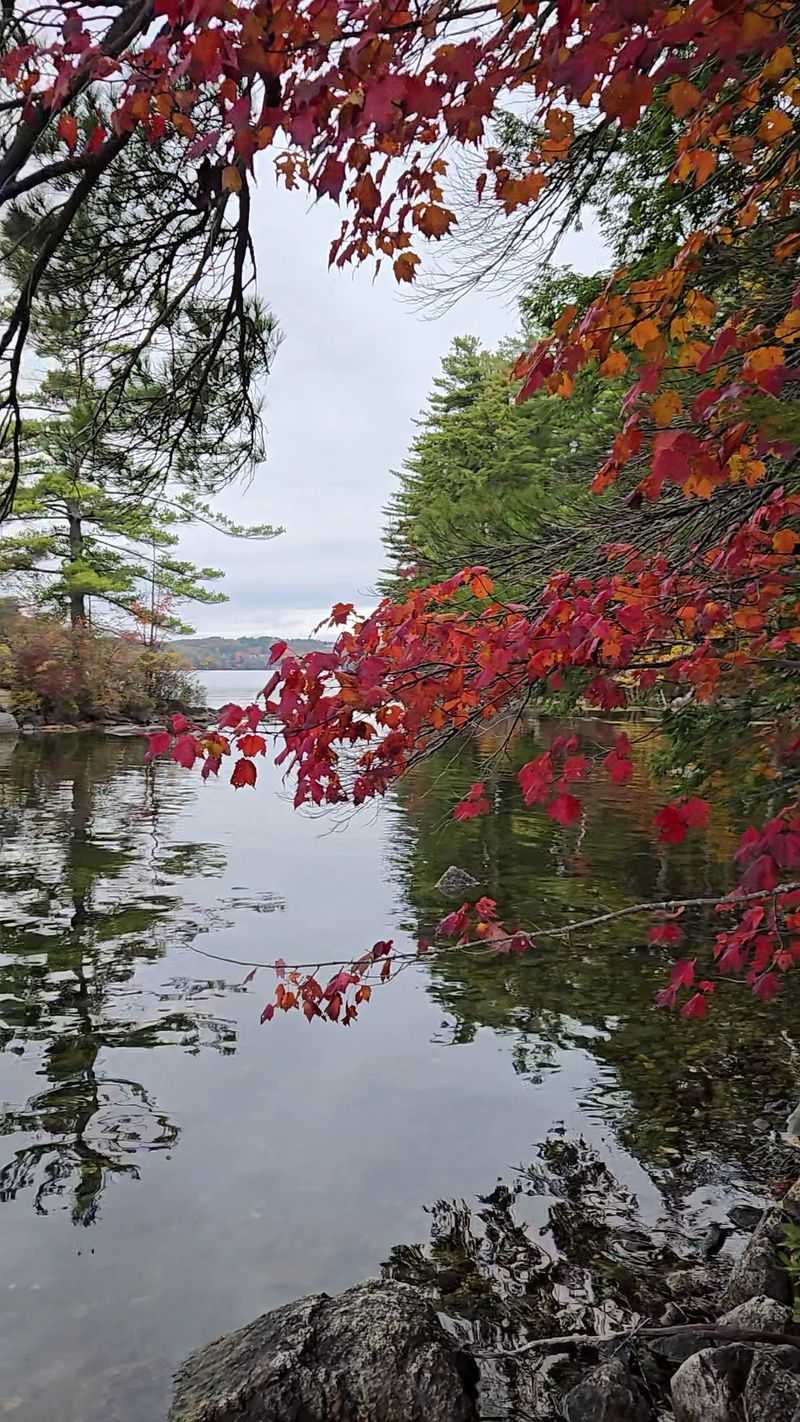 Why This Quiet Corner of New Hampshire Stays With You Why This Quiet Corner of New Hampshire Stays With You