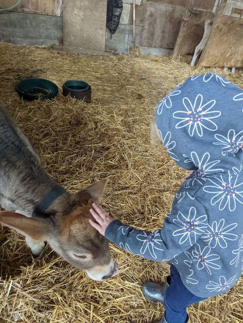 Why This Quiet Farm Earns a Spot on Your List Why This Quiet Farm Earns a Spot on Your List