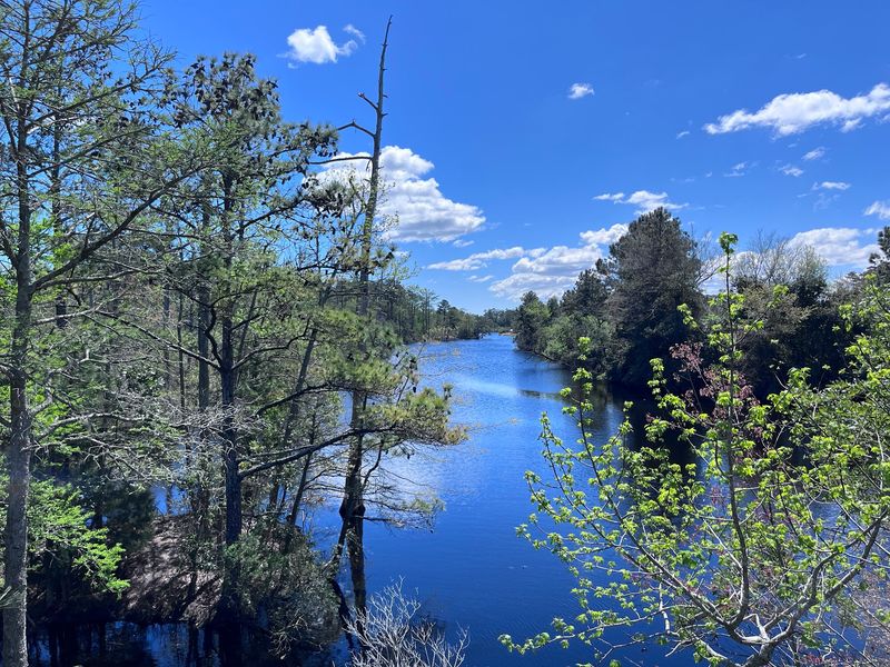 Why This Wild Corner Is Worth the Detour