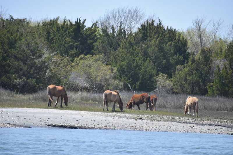 Why This Wild Shoreline Is Worth the Trip