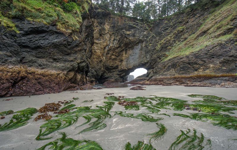 Why Timing the Tide Is Everything Why Timing the Tide Is Everything