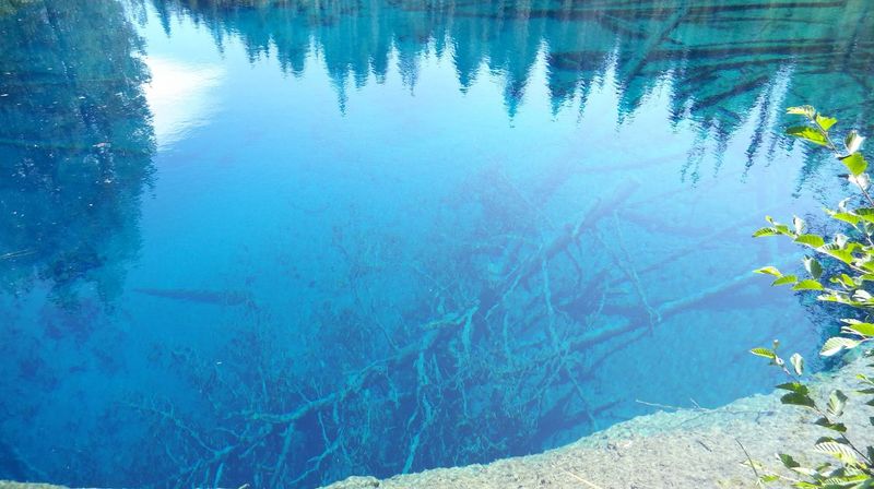 Why You Should Look But Never Swim
