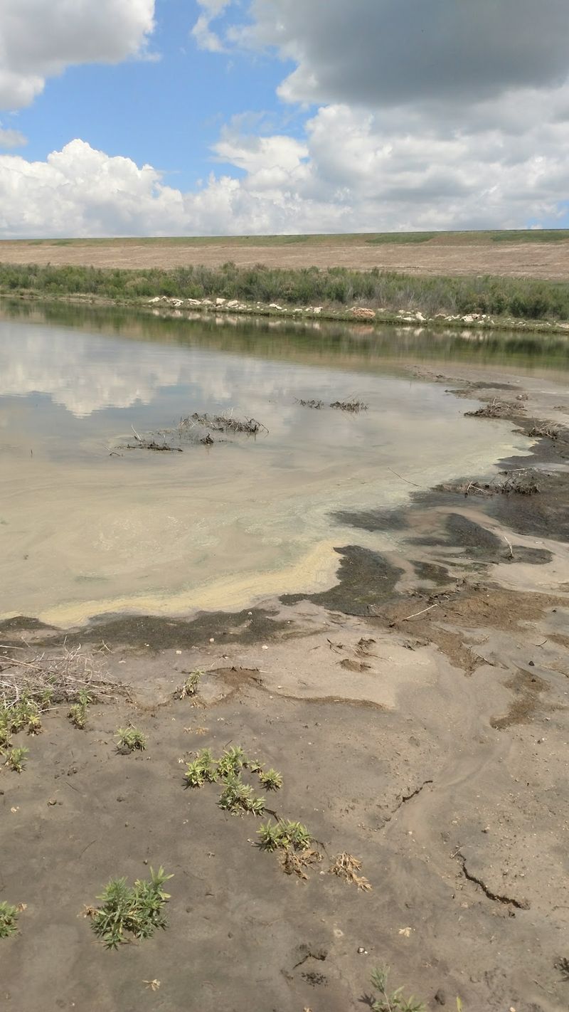 Why the Water Never Arrived Why the Water Never Arrived