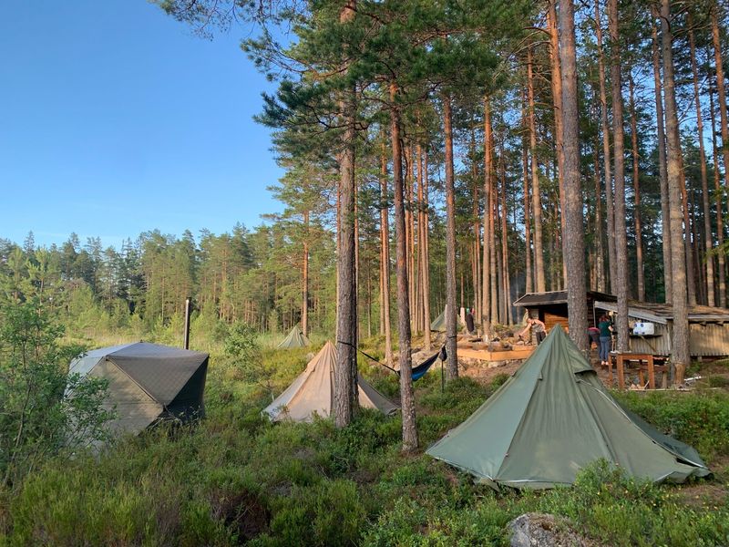 WildSweden, Skinnskatteberg, Sweden WildSweden, Skinnskatteberg, Sweden