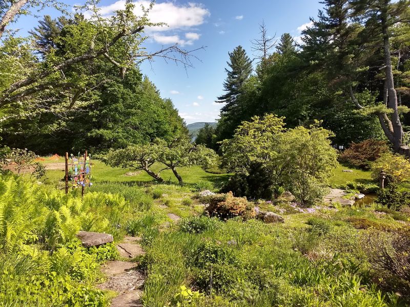 Wildflowers, Fairy Villages, and Vernal Pools Wildflowers, Fairy Villages, and Vernal Pools