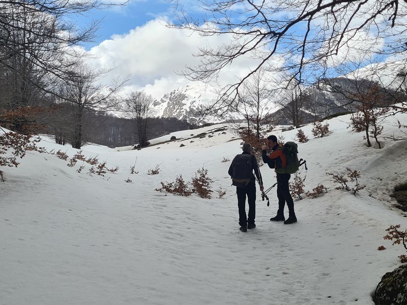 Wildlife Adventures, Pescasseroli, Abruzzo, Italy Wildlife Adventures, Pescasseroli, Abruzzo, Italy