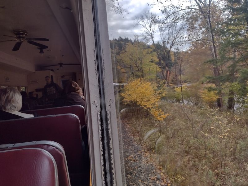 Wildlife Around Every Bend: What Passengers Spot Along the Way Wildlife Around Every Bend: What Passengers Spot Along the Way