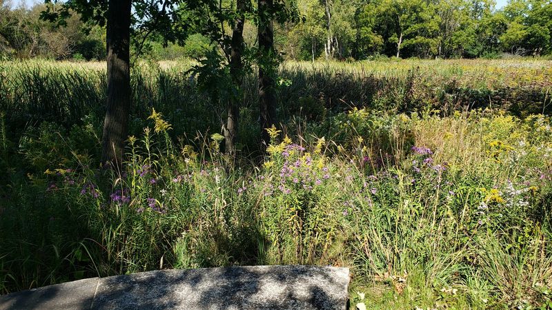 Wildlife, Bugs, and the Living Ecosystem Underfoot Wildlife, Bugs, and the Living Ecosystem Underfoot
