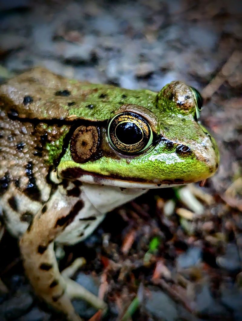 Wildlife Encounters Worth Keeping Your Eyes Open For Wildlife Encounters Worth Keeping Your Eyes Open For