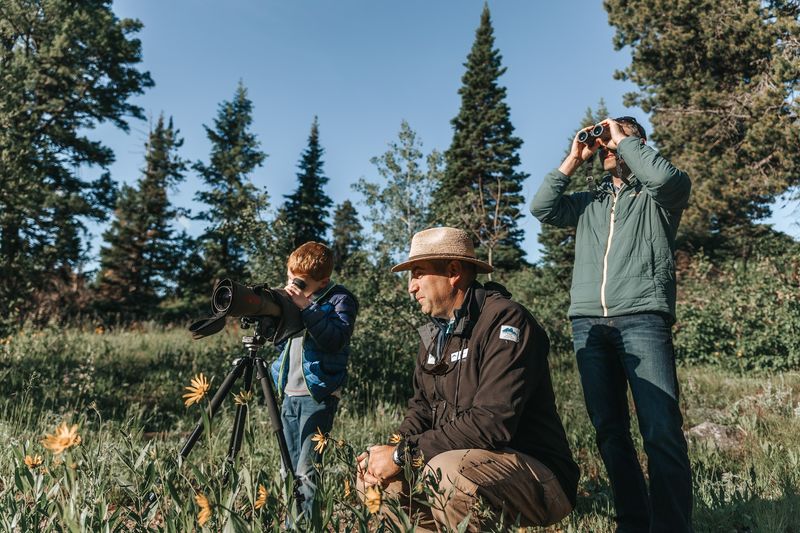 Wildlife Expeditions of Teton Science Schools, Jackson, Wyoming Wildlife Expeditions of Teton Science Schools, Jackson, Wyoming