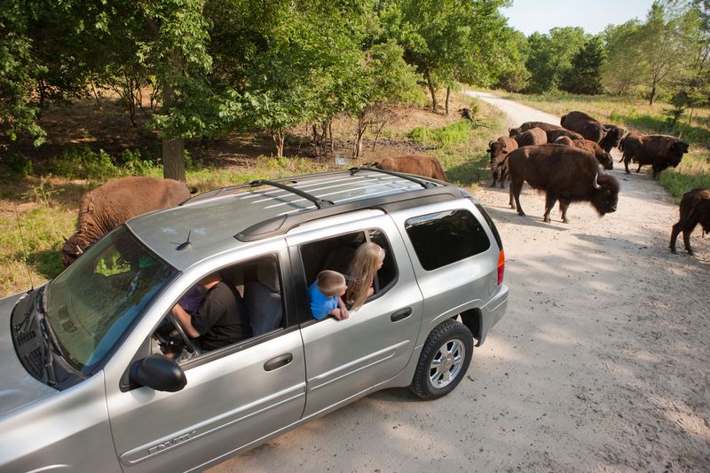 Wildlife Safari Park, Ashland, Nebraska Wildlife Safari Park, Ashland, Nebraska