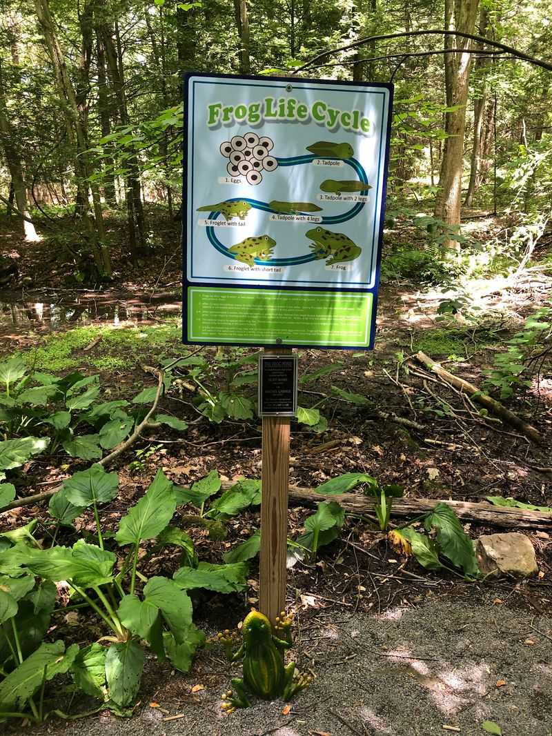 Wildlife Sightings and the Ecological Character of the Grounds