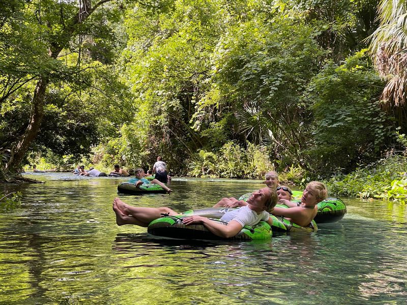 Wildlife That Turns a Float Into a Safari Wildlife That Turns a Float Into a Safari