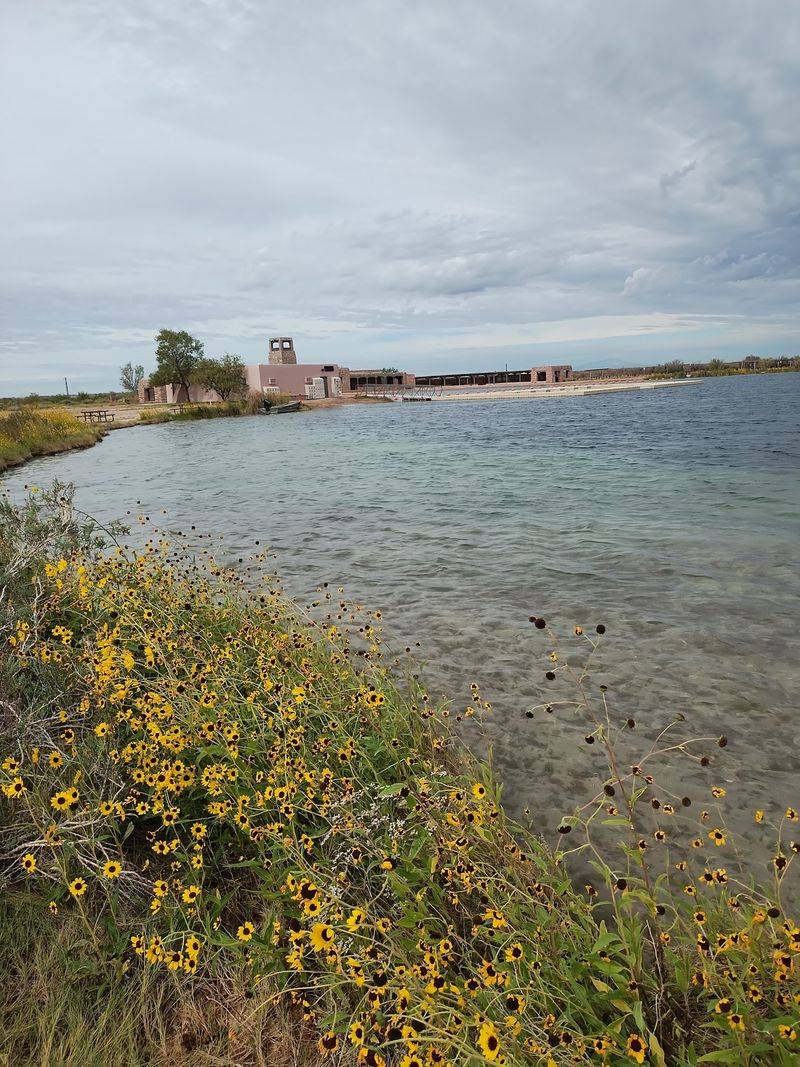Wildlife, Wetlands, and Desert Blooms