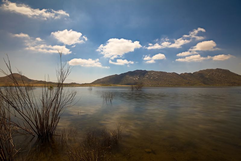 Wildlife and Wide-Open Nature