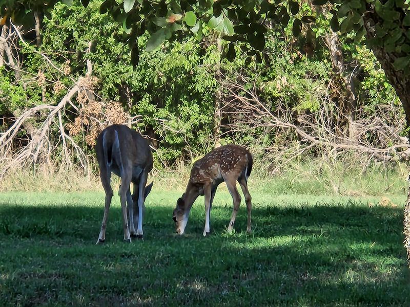 Wildlife and Wide-Open Nature Wildlife and Wide-Open Nature
