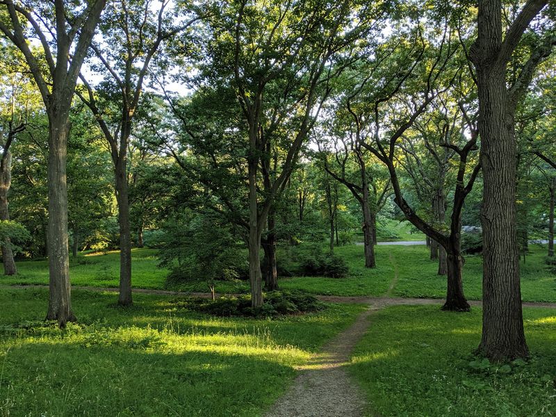 Winding Paths Made For Wandering Winding Paths Made For Wandering