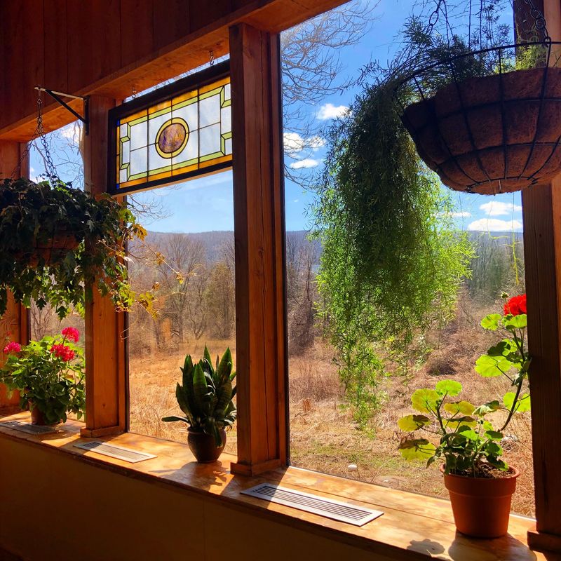Windows That Make Dinner Feel Unusual Windows That Make Dinner Feel Unusual