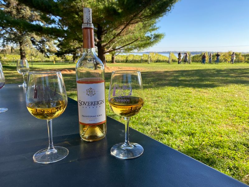 Wines Worth Ordering Wines Worth Ordering
