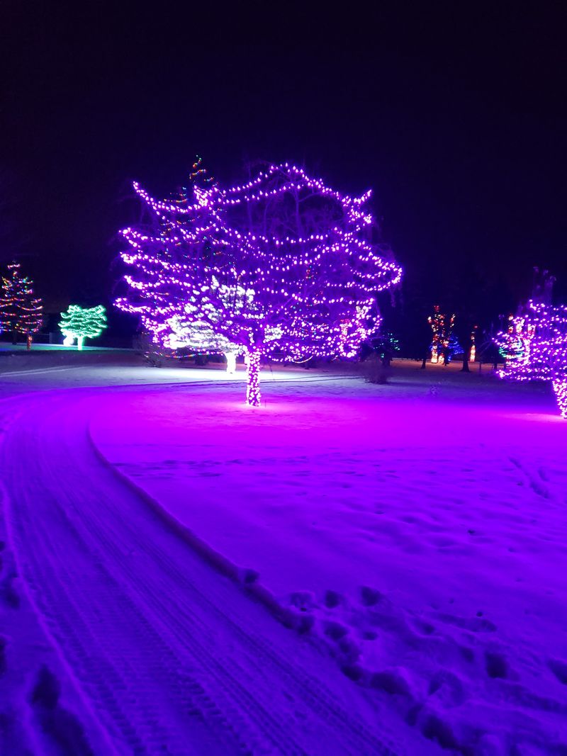 Winter Lights And Warm Mugs Winter Lights And Warm Mugs