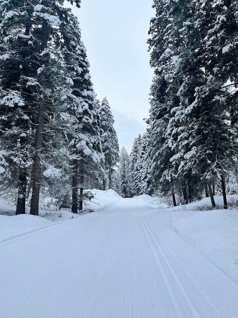 Winter Transforms Everything: Nordic Skiing and Snowshoeing Winter Transforms Everything: Nordic Skiing and Snowshoeing