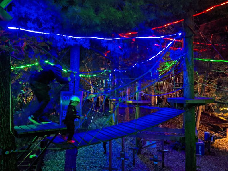 Winter Wonder Walk and the Glowing Treetops Winter Wonder Walk and the Glowing Treetops