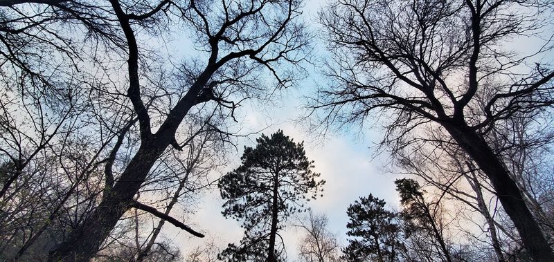 Wooded Grounds That Set the Mood Wooded Grounds That Set the Mood