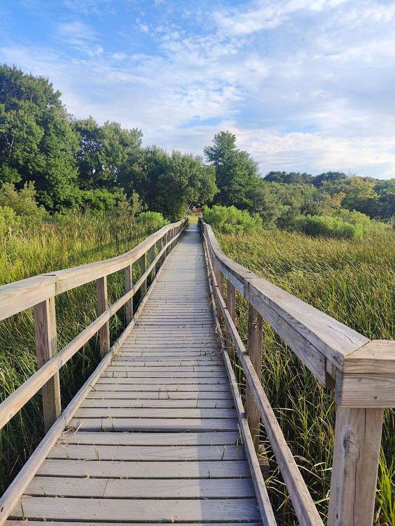 Wooded Trails Beyond the Barnyard Wooded Trails Beyond the Barnyard