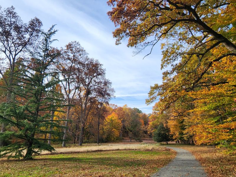 Woodsy Trails That Keep The Visit Moving
