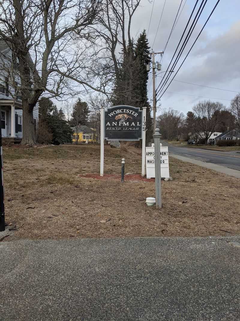 Worcester Animal Rescue League, Worcester, MA Worcester Animal Rescue League, Worcester, MA