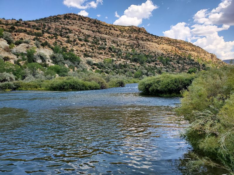 World Class Trout on the San Juan World Class Trout on the San Juan