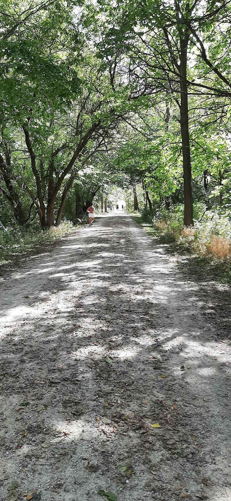 Worth the Drive - A Final Read on the Rock Island Trail Worth the Drive - A Final Read on the Rock Island Trail