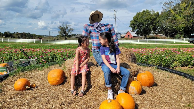 Worth the Drive for Farm Memories Worth the Drive for Farm Memories