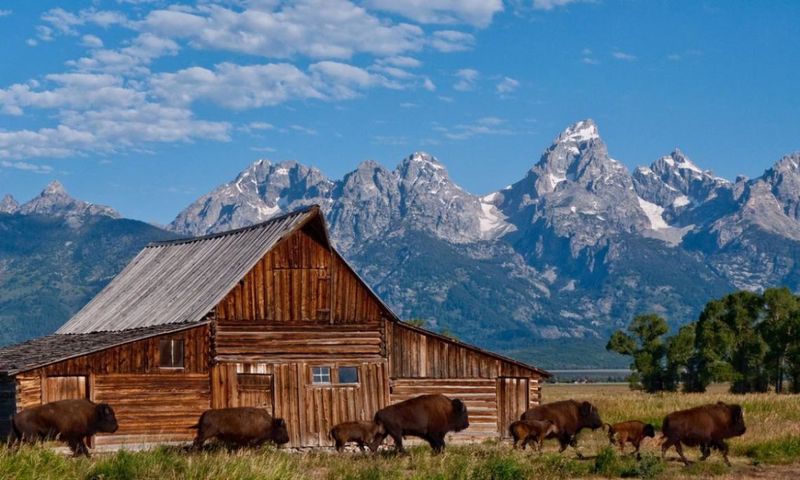 Wyoming Wyoming