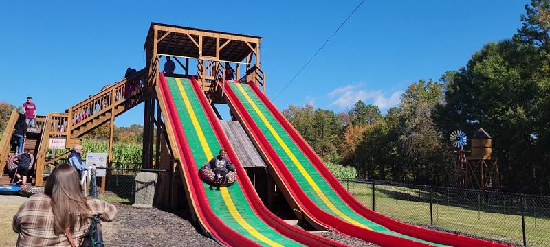 Zip Lines, Mega Slides, and Climbing Walls Zip Lines, Mega Slides, and Climbing Walls
