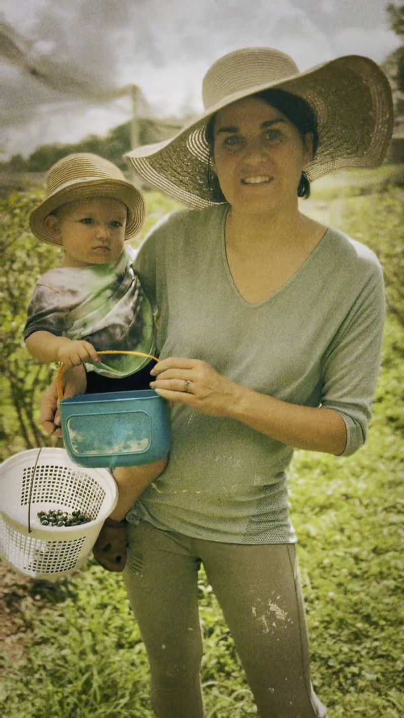 blueberry hill farm, Jonesborough, TN blueberry hill farm, Jonesborough, TN