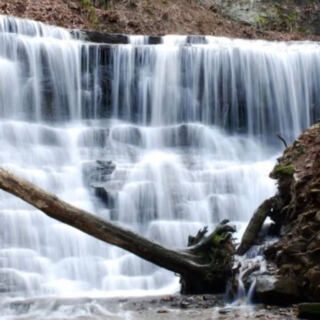 This 1,500-Acre Tennessee Natural Area Off the Historic Natchez Trace Hides Untouched Forest and a Rugged Solitary Trail