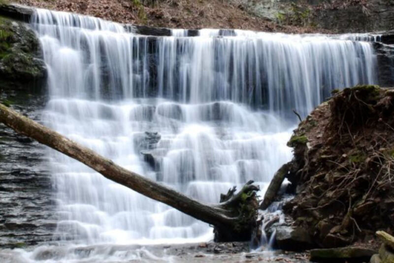 This 1,500-Acre Tennessee Natural Area Off the Historic Natchez Trace Hides Untouched Forest and a Rugged Solitary Trail