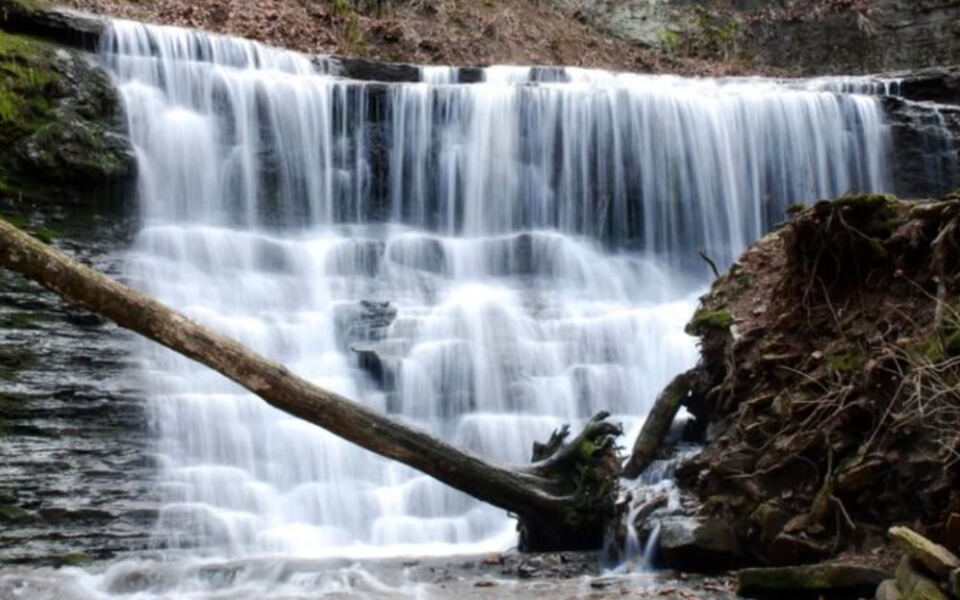 This 1,500-Acre Tennessee Natural Area Off the Historic Natchez Trace Hides Untouched Forest and a Rugged Solitary Trail