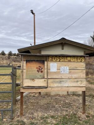 This Oregon Town Lets You Dig Real Fossils Out Of A Hillside And Take Them Home For A Few Dollars