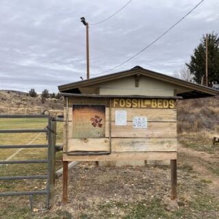 This Oregon Town Lets You Dig Real Fossils Out Of A Hillside And Take Them Home For A Few Dollars