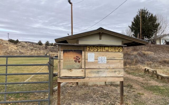 This Oregon Town Lets You Dig Real Fossils Out Of A Hillside And Take Them Home For A Few Dollars