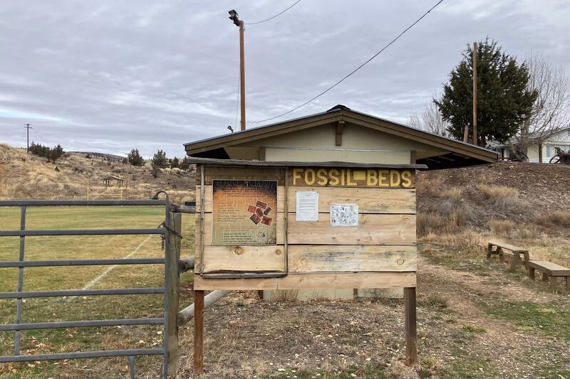 This Oregon Town Lets You Dig Real Fossils Out Of A Hillside And Take Them Home For A Few Dollars