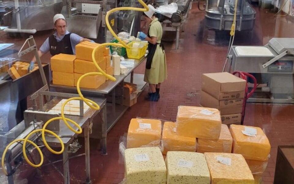 9 Ohio Cheese Factories Where You Watch The Curds Get Pressed And Sample Fresh Off The Line